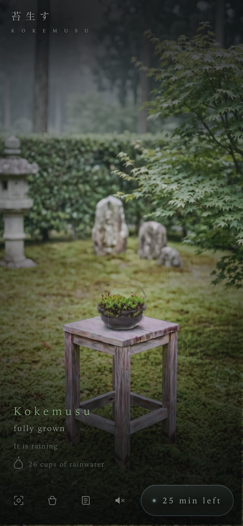 The garden while it rains, with the moss fully grown and 25 minutes left